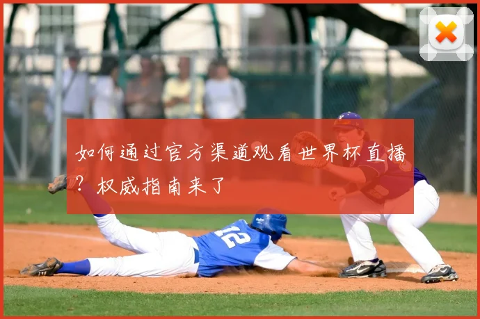 如何通过官方渠道观看世界杯直播?权威指南来了