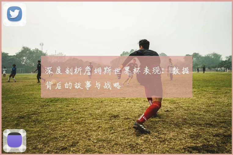 深度剖析詹姆斯世界杯表现：数据背后的故事与战略